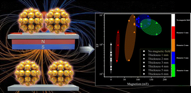 Graphical abstract: SERS hotspot engineering using external field assembly of a plasmonic magnetic nanocomposite with high sensitivity and uniformity