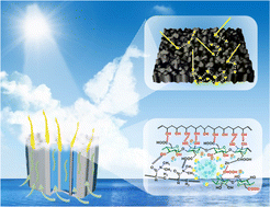 Graphical abstract: A bioinspired hydrogel with tailored nano-topography and desired mechanical performance for highly efficient solar-driven water purification