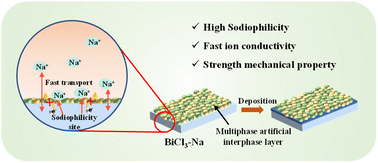 Graphical abstract: Multiphase artificial interphase layer enabled long-life and dendrite-free sodium metal batteries