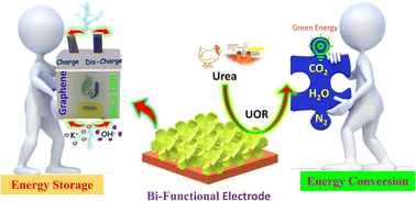 Graphical abstract: Unveiling the effect of growth time on bifunctional layered hydroxide electrodes for high-performance energy storage and green energy conversion