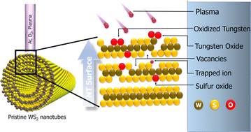 Graphical abstract: Plasma-treated 1D transition metal dichalcogenides for efficient electrocatalytic hydrogen evolution reaction