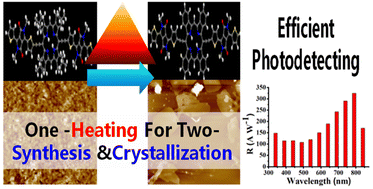 Graphical abstract: Dual-benefit strategy for developing an efficient photodetector with prompt response to UV-near IR radiations: in situ synthesis and crystallization through a simple one-step annealing