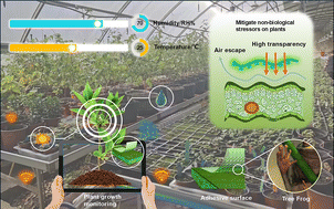 Graphical abstract: A plant-friendly wearable sensor for reducing interfacial abiotic stress effects and growth monitoring