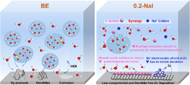 Graphical abstract: Elucidating synergistic mechanisms of an anion–cation electrolyte additive for ultra-stable zinc metal anodes