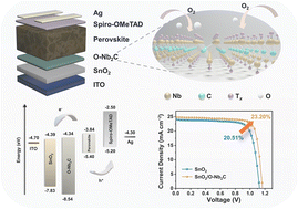 Graphical abstract: Facilitating charge transfer and band alignment in perovskite solar cells via interfacial regulation with a Nb2CTx MXene oxidized derivative