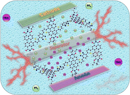Graphical abstract: Conjugated polymer electrodes fabricated using rylene-based acceptors toward high energy and power density symmetric supercapacitors operable in an organic electrolyte environment