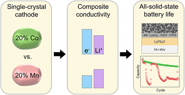 Graphical abstract: Mixed ionic-electronic conductivity of high-nickel, single-crystal cathodes influencing the cycling stability of all-solid-state lithium-ion batteries