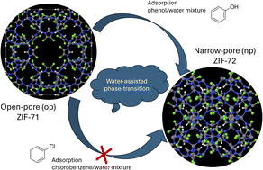 Graphical abstract: Molecular recognition-induced structural flexibility in ZIF-71