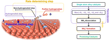 Graphical abstract: Identifying non-proton-coupled electron transfer as a potential limiting step for the electrosynthesis of ammonia