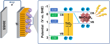 Graphical abstract: Construction of a Z-scheme heterojunction with camellia-like MnCo2O4/TiO2 for photogenerated cathodic protection