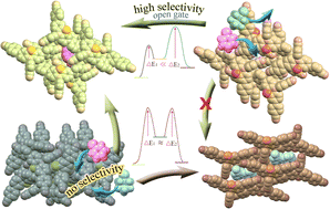 Graphical abstract: Impact of intermolecular packing on separation of chlorinated cyclic hydrocarbons using flexible hydrogen-bonded organic frameworks