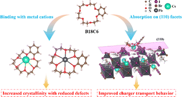 Graphical abstract: Enhanced charge transport of wide-bandgap perovskite solar cells enabled by crown ether-mediated crystal modulation