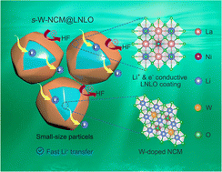 Graphical abstract: Perovskite-coated small-size single-crystalline W-doped Ni-rich cathodes with greatly enhanced power density for Li-ion batteries
