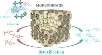 Graphical abstract: Facile preparation of UiO-66-NH2-stabilized high internal phase molecularly imprinted polymers for synergistic catalytic hydrolysis detoxification of organophosphate nerve agents