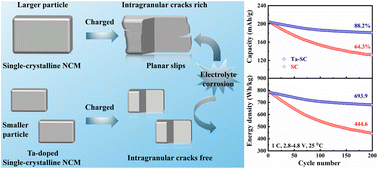 Graphical abstract: Improved high-voltage cycling stability of single-crystalline LiNi0.8Co0.1Mn0.1O2 cathode by tantalum doping