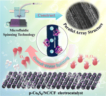 Graphical abstract: A parallel array structured cobalt sulfide/nitrogen doped carbon nanocage/carbon fiber composite based on microfluidic spinning technology: a novel design to boost overall water splitting