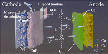 Graphical abstract: Long-cycle stable operation of fluoride-ion batteries at room temperature enabled by an advanced interface engineering and ion diffusion kinetics regulation strategy