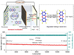 Graphical abstract: Synergy of electrolyte manipulation and separator functionalization enables ultralong-life nonaqueous magnesium-organic batteries
