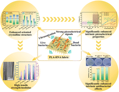 Graphical abstract: Nucleator induced highly oriented crystalline structure of poly(lactic acid) fiber enables superior intrinsic piezoelectric and antibacterial effect