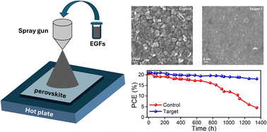 Graphical abstract: Stable perovskite solar cells with exfoliated graphite as an ion diffusion-blocking layer