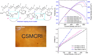 Graphical abstract: Polyvinylidene fluoride-based modified membranes for hydrogen generation by direct seawater electrolysis and proton exchange membrane fuel cells
