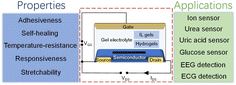 Graphical abstract: Solid-state organic electrochemical transistors (OECTs) based on gel electrolytes for biosensors and bioelectronics