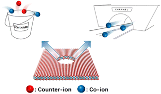 Graphical abstract: “Channel” or “container”? Effect of the pore structure on ion transport in porous MXene electrodes