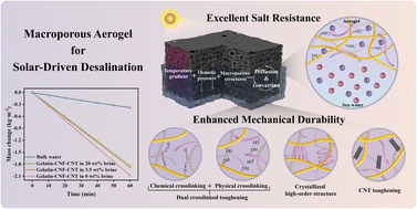 Graphical abstract: A dual-crosslinked macroporous aerogel with enhanced mechanical durability for efficient solar-driven desalination of seawater and wastewater