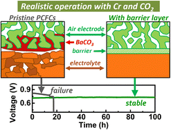 Graphical abstract: Failure of protonic ceramic fuel cells (PCFCs) under gaseous Cr and CO2 exposure and the introduction of a protective barrier layer for mitigation