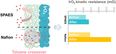Graphical abstract: An efficient toluene barrier membrane for high-performance direct toluene hydrogenation via an electrochemical process