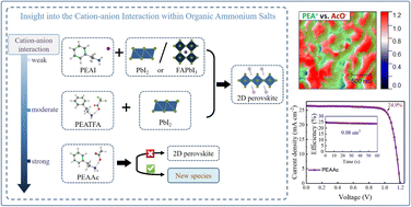 Graphical abstract: In situ reactive modification strategy to enhance the performance of n–i–p perovskite solar cells
