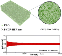 Graphical abstract: Porous polymer in polymer structure created using carbon dots for high-performance gel polymer electrolytes