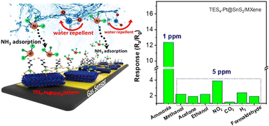 Graphical abstract: Engineering a surface functionalized Pt@SnS2/Ti3C2Tx MXene sensor with humidity tolerance and high sensitivity at room temperature for NH3 detection