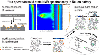 Graphical abstract: Probing sodium structures and dynamics in hard carbon for Na-ion batteries using 23Na operando solid-state NMR spectroscopy