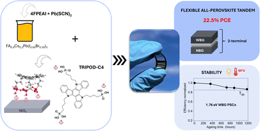 Graphical abstract: Compositional and interfacial engineering for improved light stability of flexible wide-bandgap perovskite solar cells