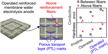 Graphical abstract: Nanomechanical and nanoelectrical analysis of the proton exchange membrane water electrolyzer anode – impact of reinforcement fibers and porous transport layer