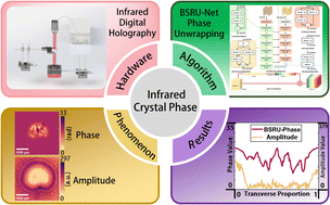Graphical abstract: Insights into infrared crystal phase characteristics based on deep learning holography with attention residual network