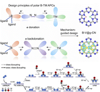 Graphical abstract: Polar atom-pair catalysts for electrochemical C–N coupling