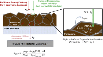 Graphical abstract: Light-induced degradation of mixed-cation, mixed-halide perovskite: observed rates and influence of oxygen