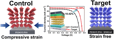 Graphical abstract: Enhanced tin halide perovskite solar cells via crystal growth control using a multifunctional interfacial modifier