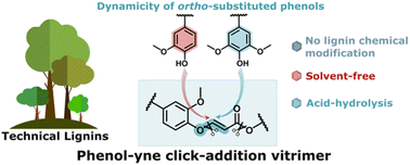 Graphical abstract: Introducing phenol-yne chemistry for the design of lignin-based vitrimers: towards sustainable and recyclable materials
