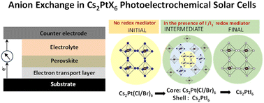 Graphical abstract: In situ anion exchange with redox mediators influencing the photovoltaic parameters in vacancy-ordered halide perovskite-based photoelectrochemical solar cells
