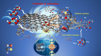 Graphical abstract: Optimization of the CoFe2O4 electronic structure using reticulated expanded graphite to accelerate non-radical activation of peroxymonosulfate for efficient antibiotic degradation in wastewater