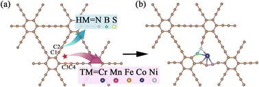 Graphical abstract: High-throughput screening and an interpretable machine learning model of single-atom hydrogen evolution catalysts with an asymmetric coordination environment constructed from heteroatom-doped graphdiyne