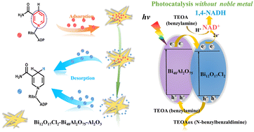 Graphical abstract: High yield regeneration of 1,4-NAD(P)H via selective adsorption-/desorption-mediated visible-light photocatalysis on a noble-metal-free catalyst
