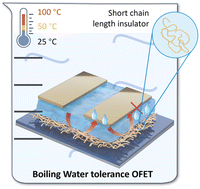 Graphical abstract: Boiling water tolerant organic field-effect transistors enabled by a short-chain polymer blending approach
