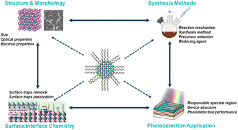 Graphical abstract: Advances in defect modulation strategies of indium antimonide semiconductor colloidal quantum dots for infrared photodetection
