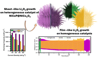 Graphical abstract: Optimizing discharge product morphology with hetero-nanostructured NiCoP/NiCo2O4 for enhanced sustainability in Li–O2 battery performance