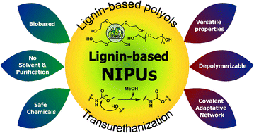 Graphical abstract: Unlocking sustainable, aromatic, and versatile materials through transurethanization: development of non-isocyanate polyurethanes from lignins