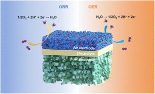 Graphical abstract: Achieving active and durable oxygen reduction/evolution reactions on protonic ceramic electrochemical cells with spinel-based air electrodes